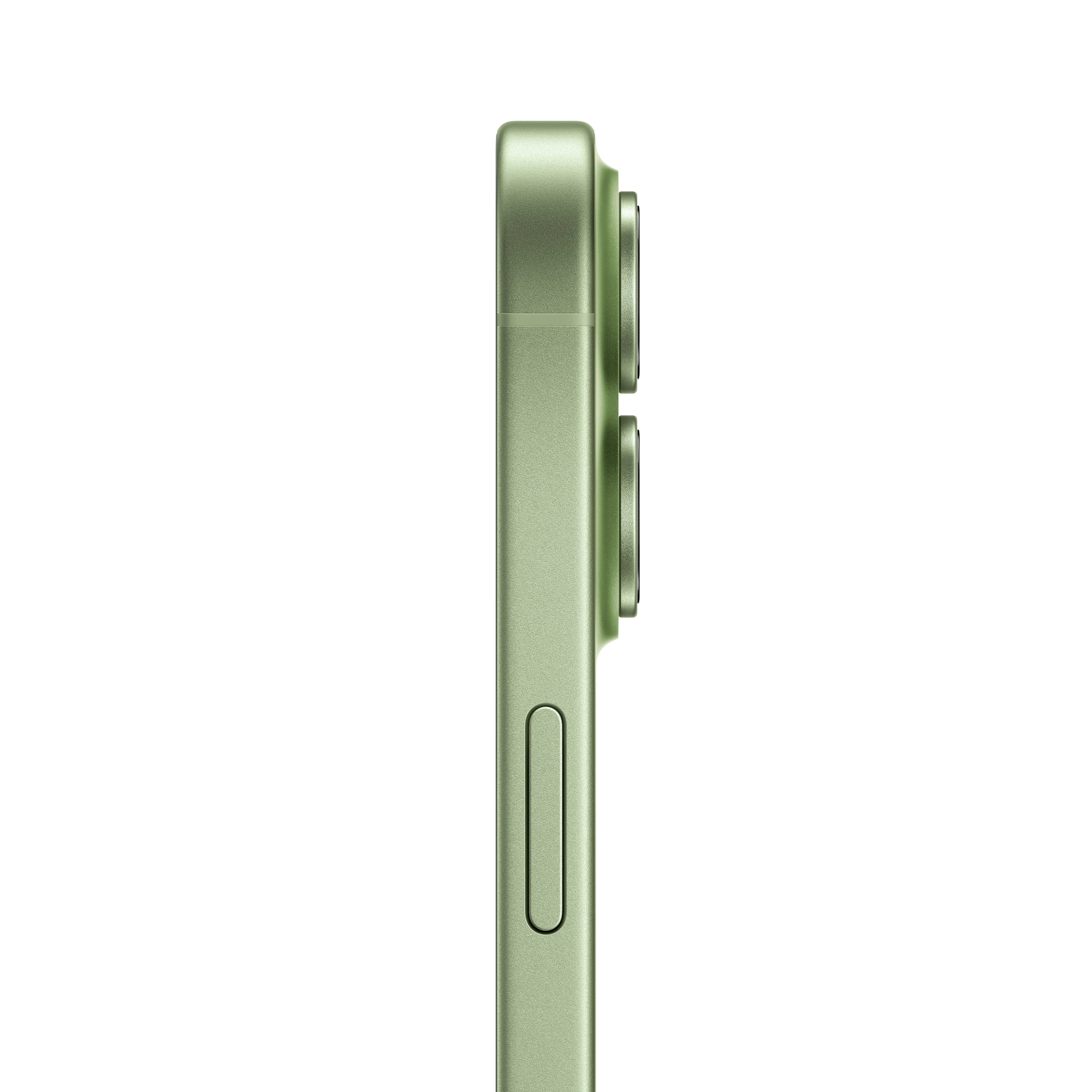 Miniatuur 4