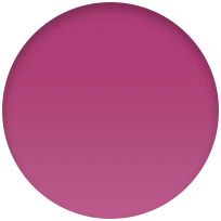 Miniatuur 6