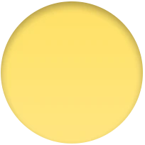 Miniatuur 6
